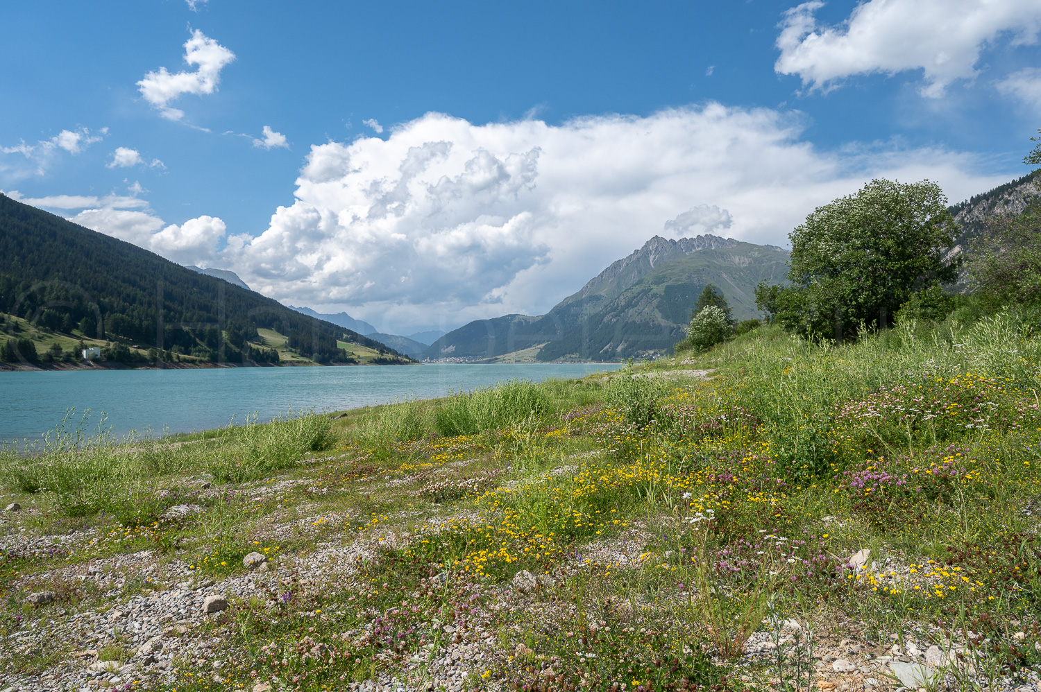 2022 06 30 I St Valentin 02