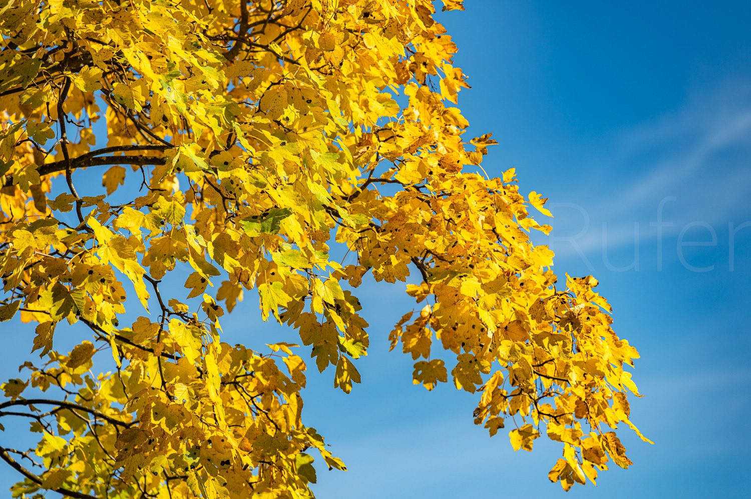 2022 10 05 Tschiertschen 05