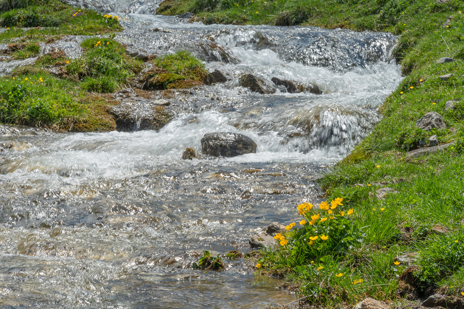 2022 05 27 Tschiertschen 06