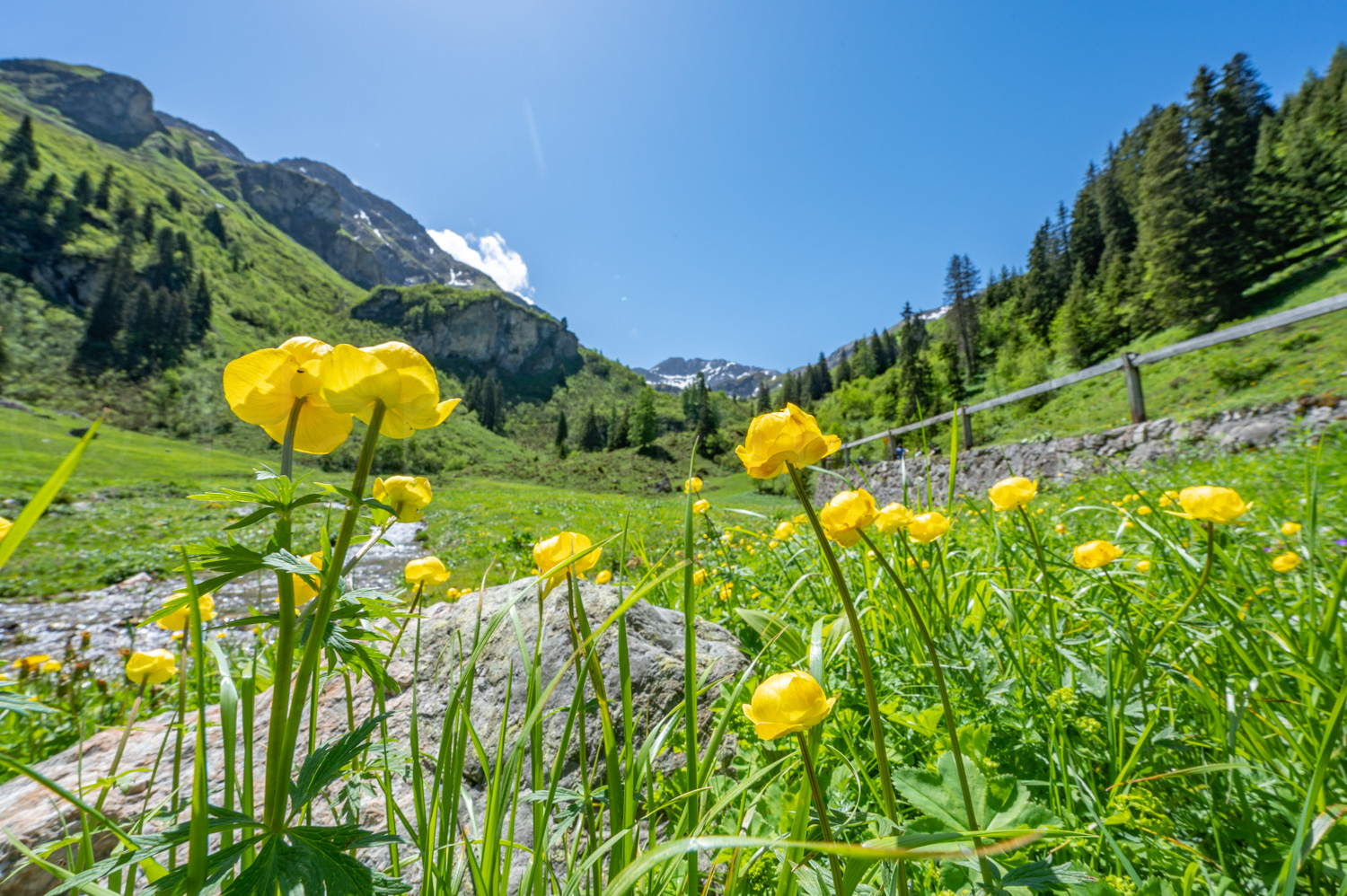 2022 06 04 Tschiertschen 01