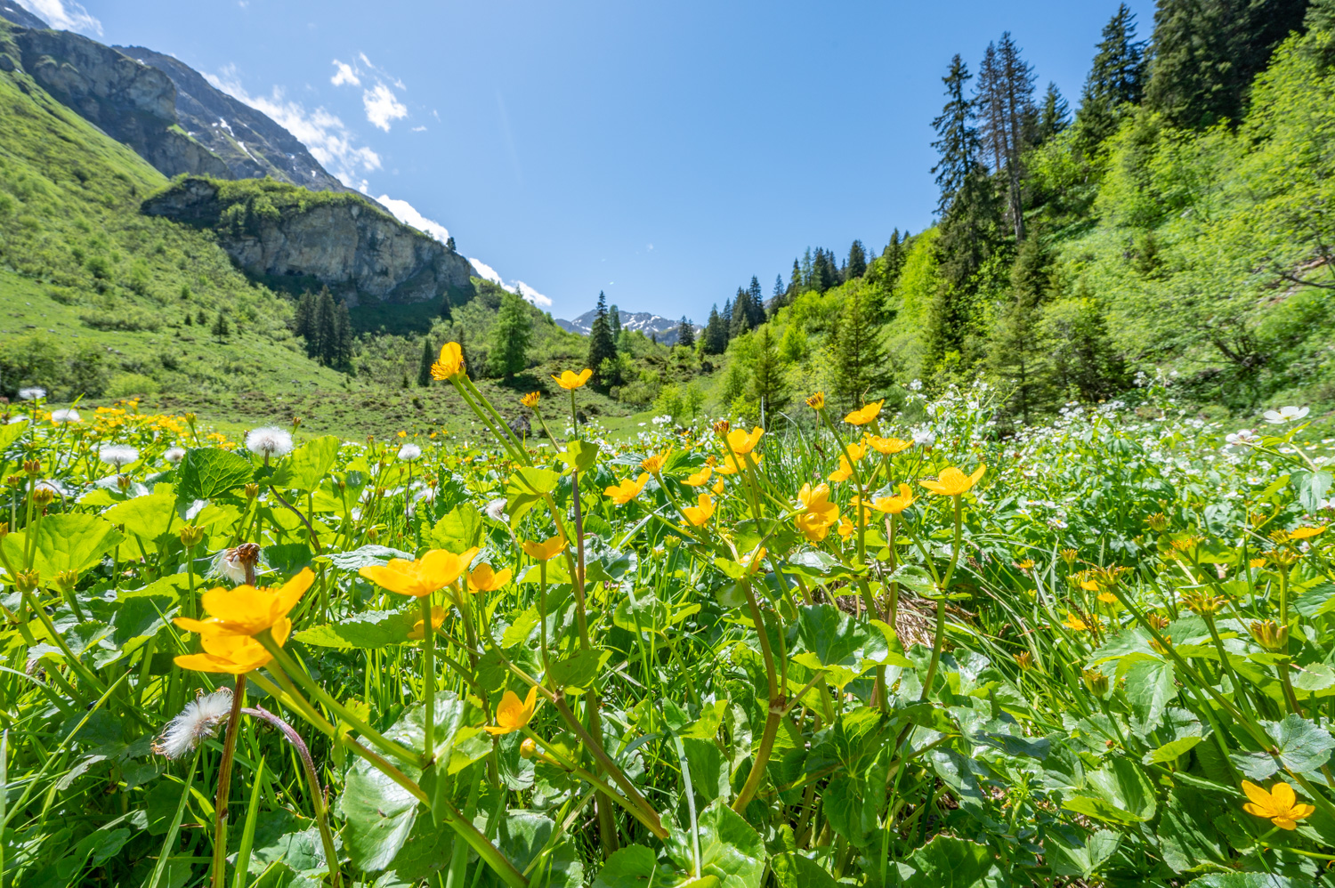 2022 06 04 Tschiertschen 02