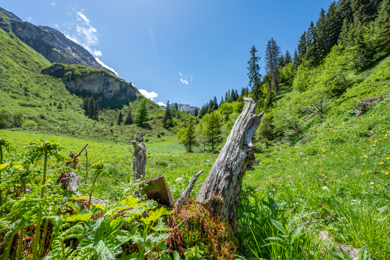 2022 06 04 Tschiertschen 03