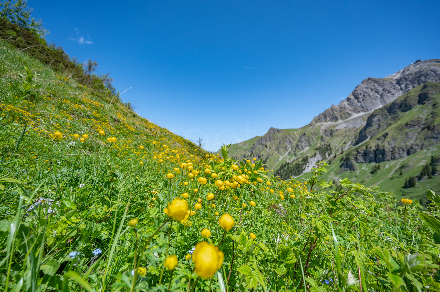 2022 06 04 Tschiertschen 07