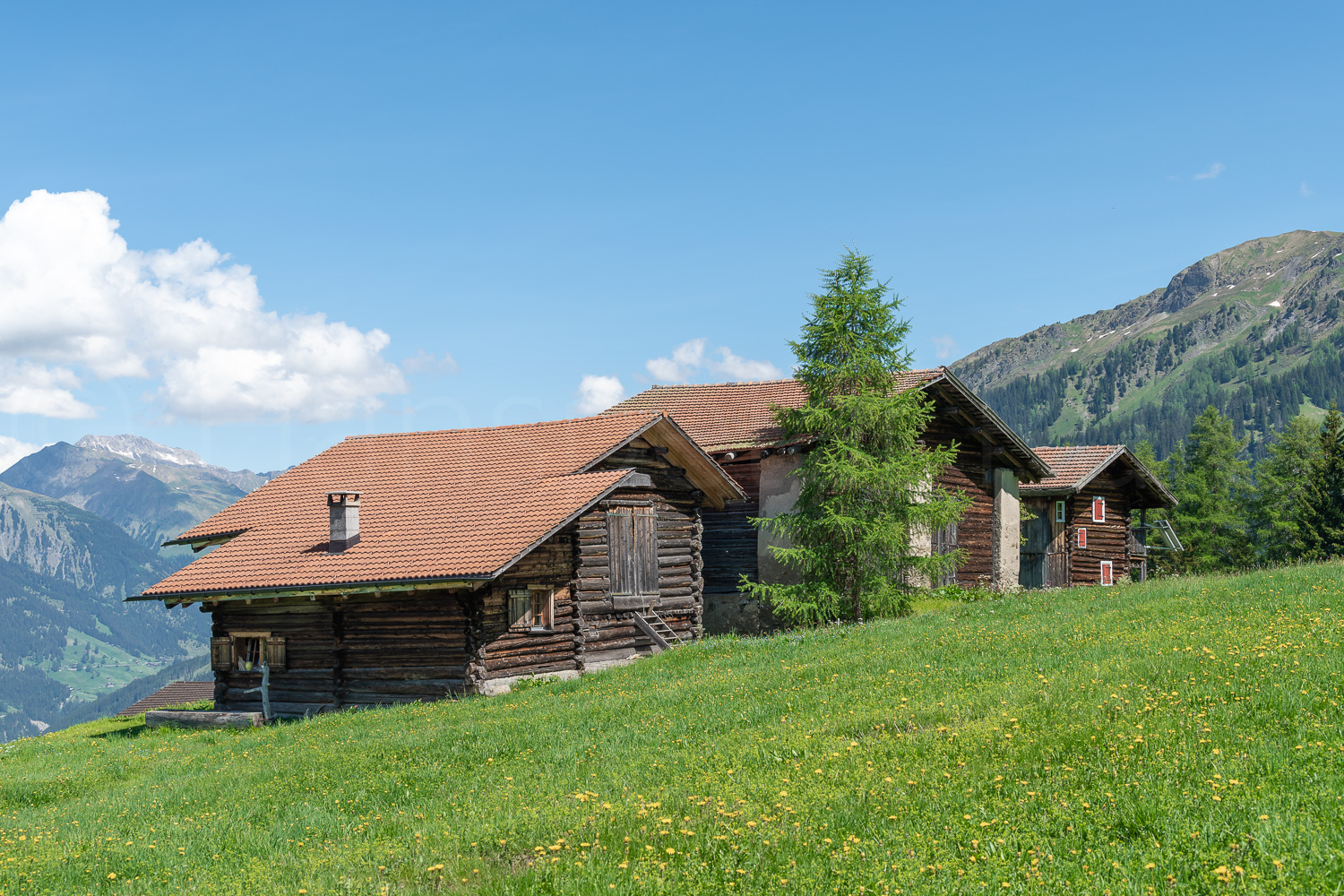 2022 05 27 Tschiertschen 13